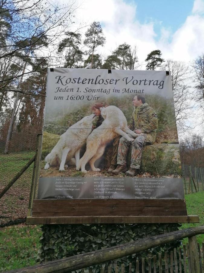 Ferienwohnung Am Wolfsweg Merzig Esterno foto