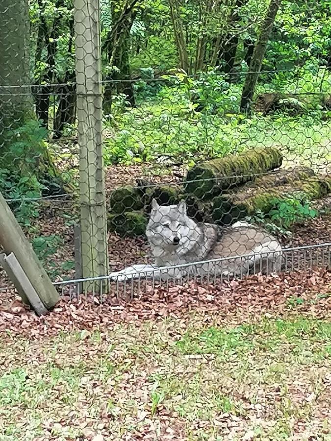 Ferienwohnung Am Wolfsweg Merzig Esterno foto