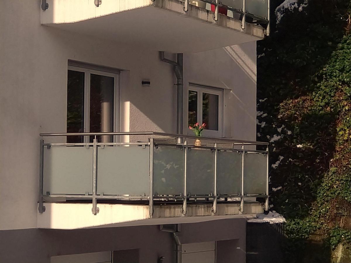 Ferienwohnung Am Wolfsweg Merzig Esterno foto